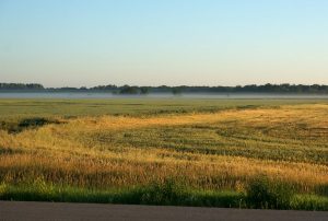 Morgennebel in der Prärie. Nähe Gladstone, Manitoba